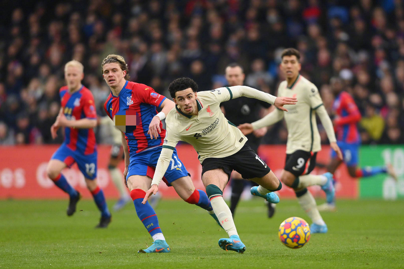 有潜力的年 有潜力的年