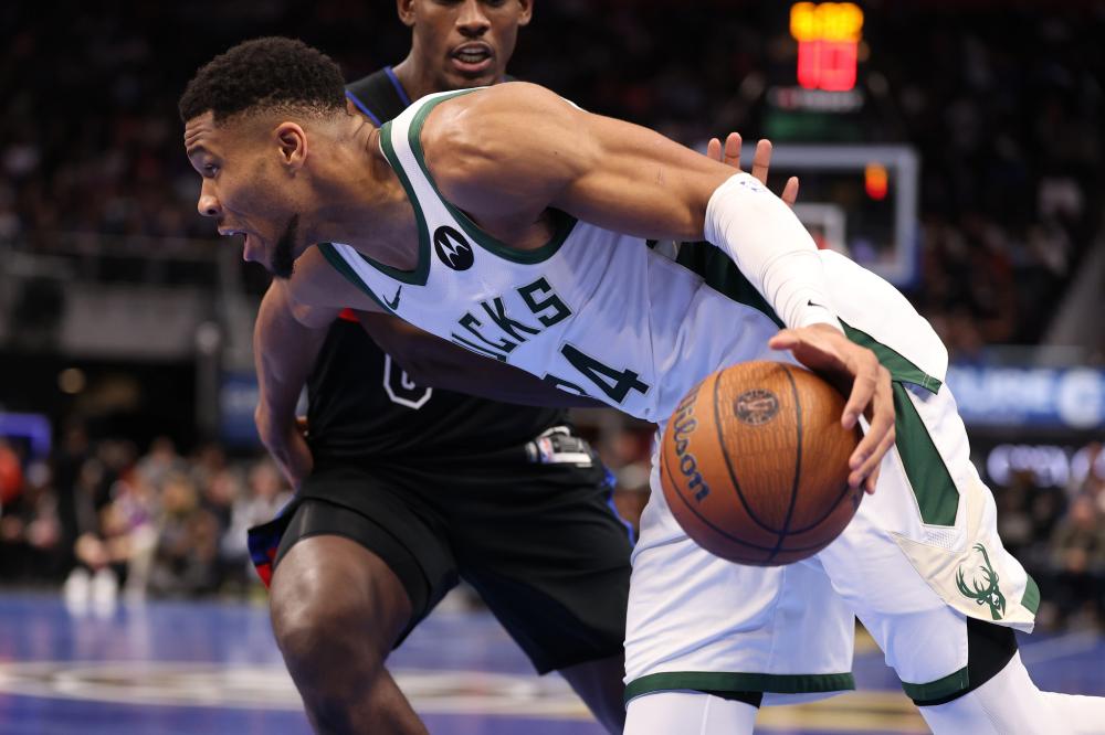 尼苏达森林 尼苏达森林